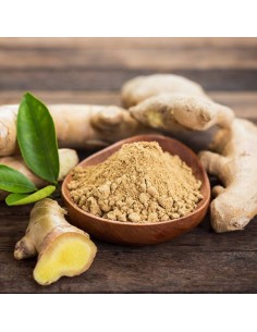 JENGIBRE (MOLIDO O RAIZ)