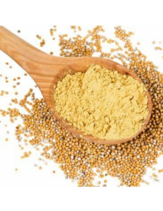 MOSTAZA EN GRANO O MOLIDO