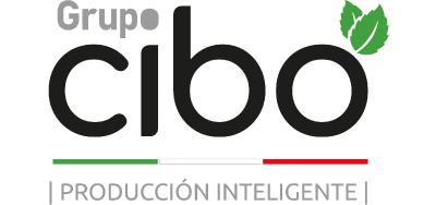 Grupo CIBO